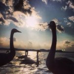 Profile_45161581_75sq_1392789731