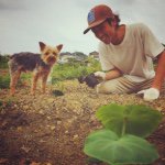 11386533_1620998568135008_1008722282_a