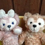 1388901_840130852706376_459307047_a