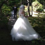 1388888_752199571522038_1970820795_a