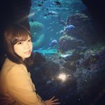 924568_1469900546633443_191604658_a