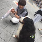 11312013_415580895315658_1512551713_a