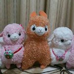 10831973_321192938080213_14013008_a