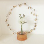 11325289_101809586835124_1104392211_a