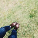 11333694_427761404072416_482441150_a