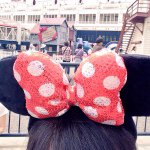 11348376_1138453002835326_66064565_a