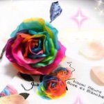 10729366_822223261153580_2096857439_a