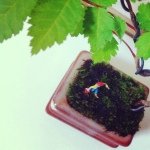 10358196_283419831838699_376773395_a