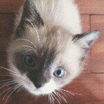 10467876_788973941142523_597513057_a