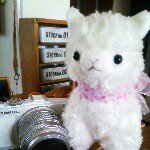 11355080_1607596866162612_2129367383_a