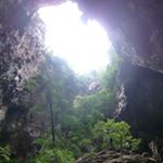 11420737_123266388009874_1456794836_a