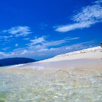 11378733_469777896519830_1936999221_a