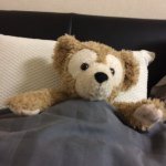 10903469_415144438662416_68287148_a