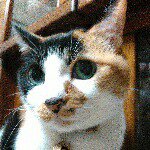 1538398_755734744505157_124196694_a