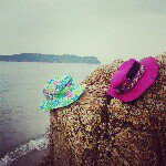 10666260_522197871246966_201472018_a