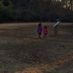 10903743_423667967782670_1813583814_a