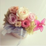 10903730_597353873728875_988994885_a