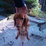 Profile_1135799123_75sq_1393665586