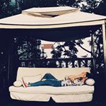 11378979_512890165533839_1745806327_a