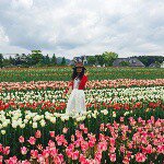 11351642_447098485457058_1016096786_a