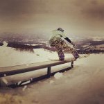 10890606_377288025765758_1830221060_a