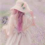 11357473_1465233447124330_180953872_a