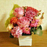 10817613_514326592056648_617915956_a