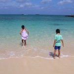 11420955_122269264772800_509359299_a