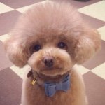 11055803_1419858728317442_1951447848_a