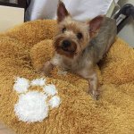 11282691_1615499448736247_1625577458_a