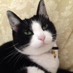 Profile_636195209_75sq_1386457270