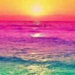 11280244_862057847201670_1594782643_a