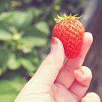 11351703_830398513695385_1713081801_a