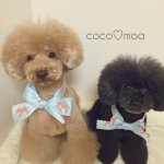 11376198_1653754248190841_2028700055_a