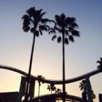 10467912_1444393665817101_953252978_a