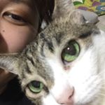 11313557_897489883652796_500462530_a