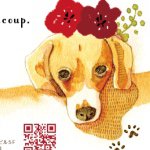 10986409_398684763639223_71624070_a