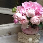 11226798_698515993607824_748352702_a