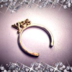 11123787_998529446823949_1587584117_a