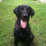 Profile_164396_75sq_1287329172