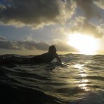 11208254_371278159729462_1989711034_a