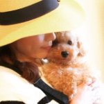 11241885_847772245290542_1458433374_a