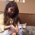 11358948_732392356870310_1900624878_a