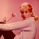 10611214_276471155870136_1218529849_a