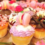 10831907_823561094366840_1418168655_a