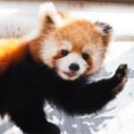 11379057_1438452386459151_53448861_a