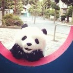 Profile_369241518_75sq_1382284028