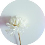 10597311_815353461853760_1918881668_a