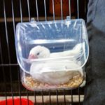 11355974_1631961117086129_1310182153_a