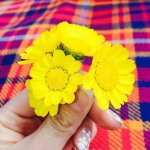 924485_1415640452072247_1406220610_a